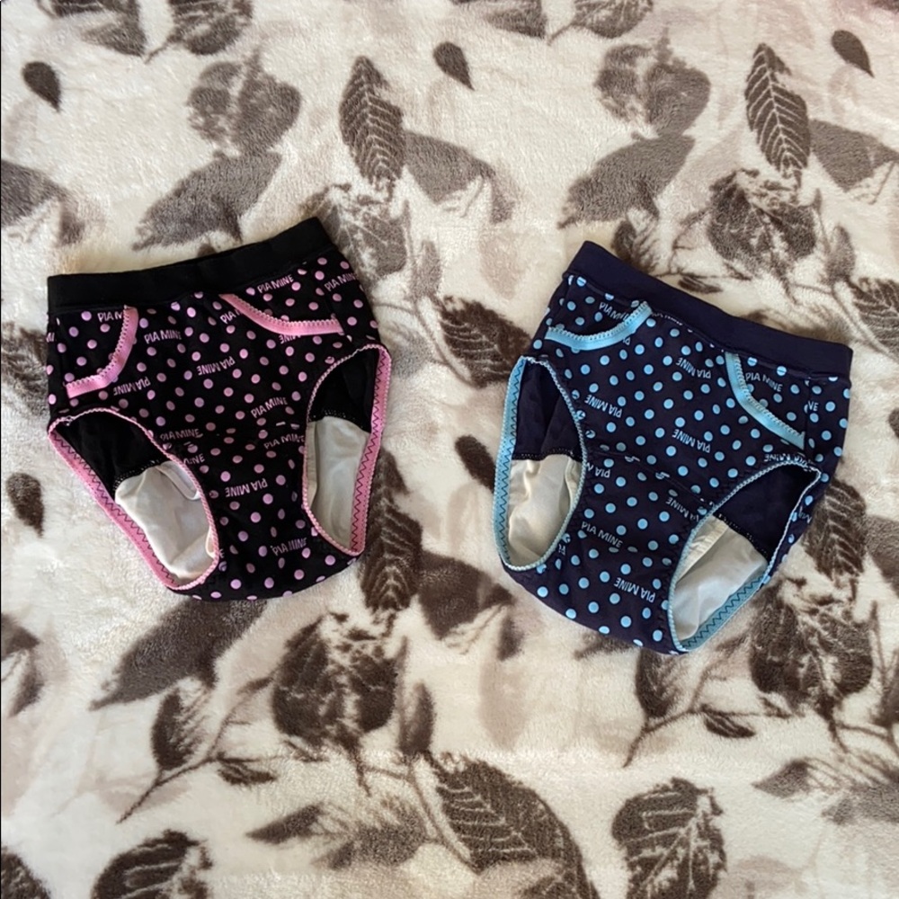 (NWOT) 2-pack Underwear with Sanitary/Menstrual/Period Panty